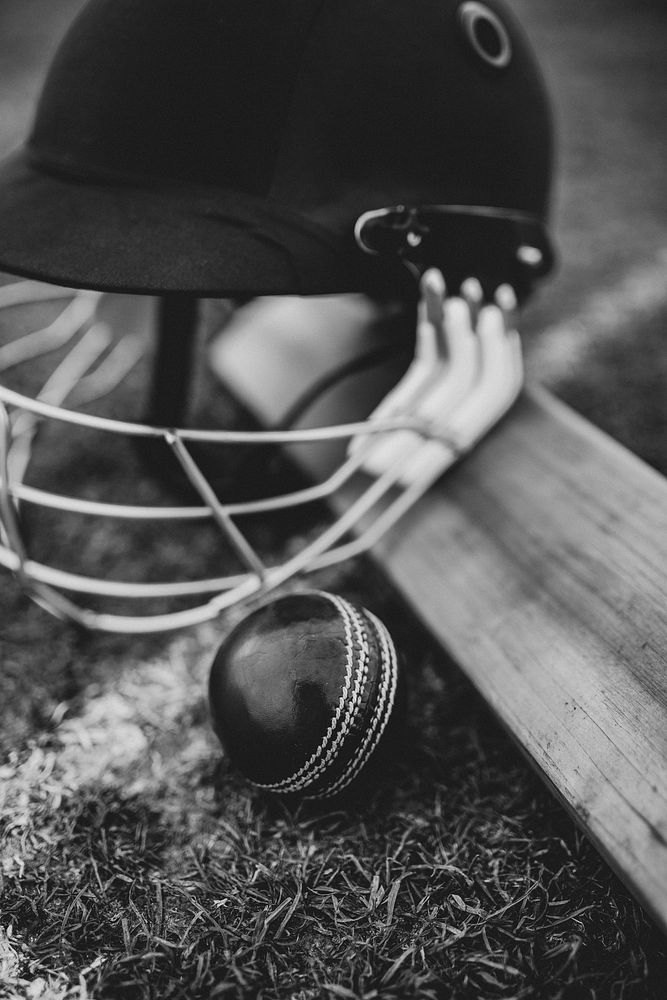 Exploring the impact of betting on fan engagement in cricket